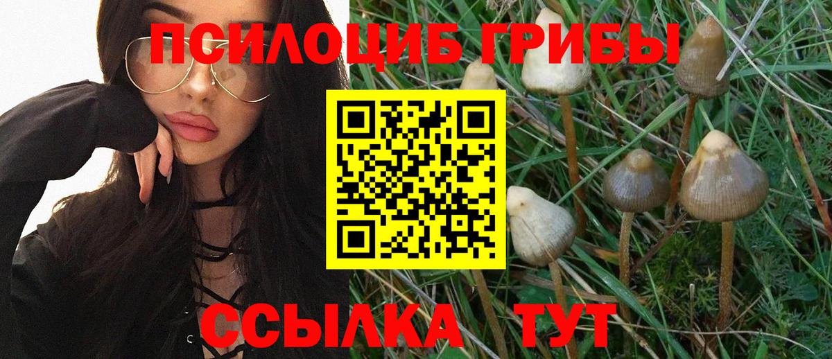 Псилоцибиновые грибы мухоморы Надым