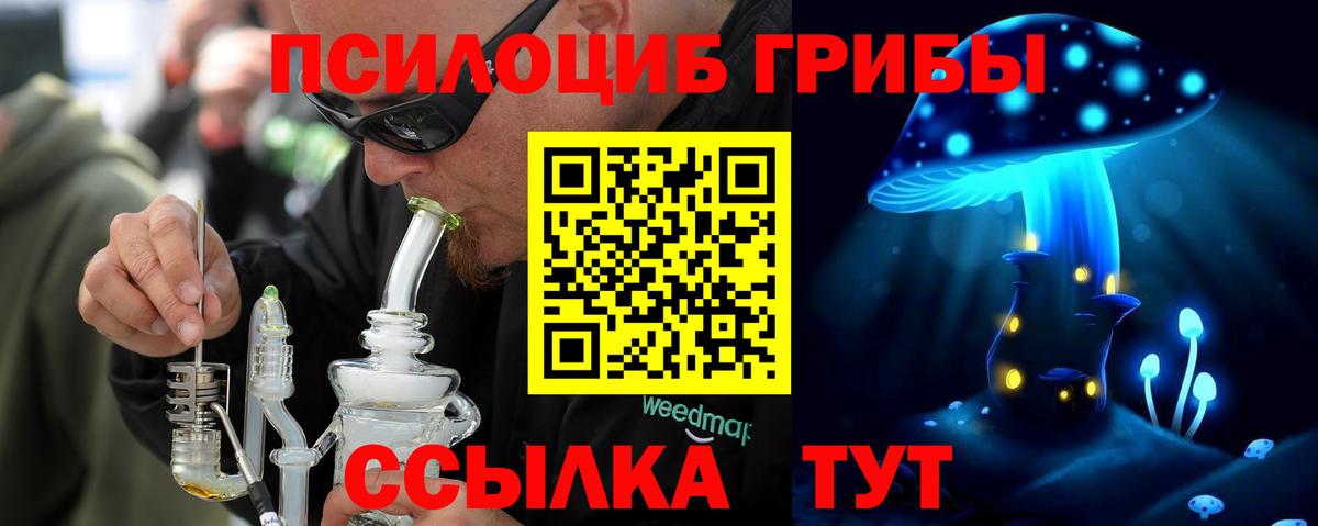 Надым  Псилоцибиновые грибы Cubensis  Вход с VPN 